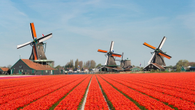 Власти Нидерландов выделили 500 млн евро на ликвидацию 